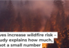 A record-tying heat wave helped spread a wildfire in Northern California’s Shasta and Trinity counties in July 2018. Terray Sylvester/Getty Images